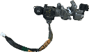 IMG_5243.png