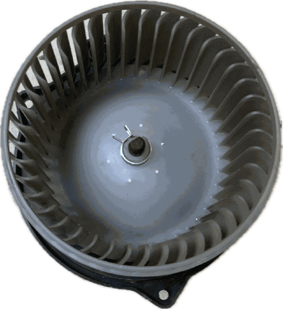 IMG_5246.png