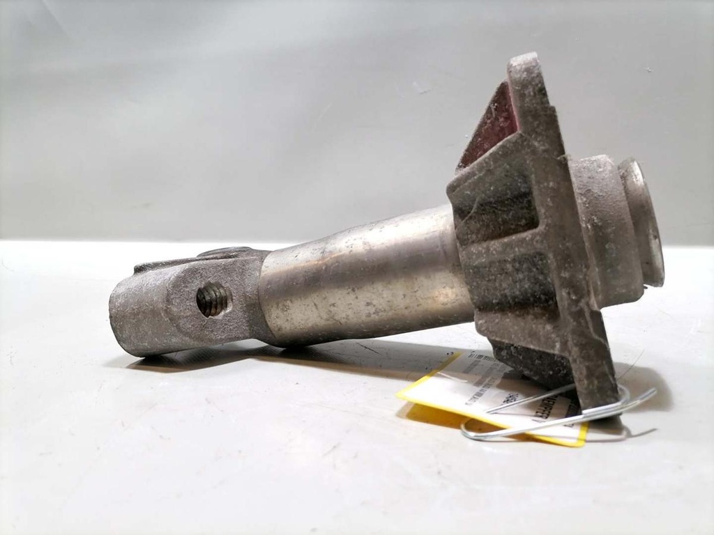 IMG_20250521_145047 (kleiner).jpg