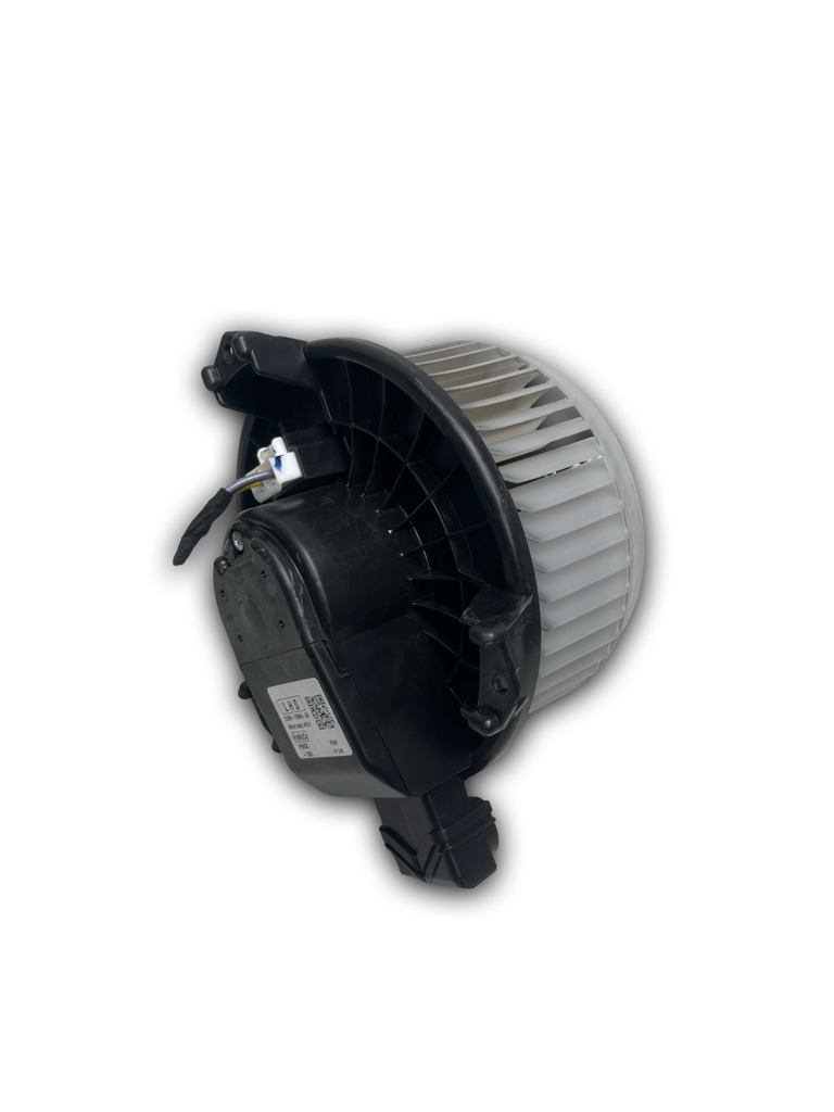pixelcut_40.png