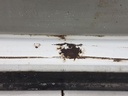 20250527_114433.jpg