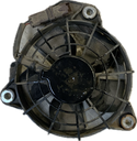IMG_5569.png