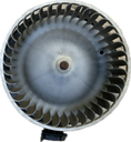 IMG_5625.png