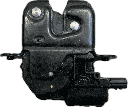 IMG_5563.png