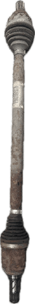 IMG_5758.png