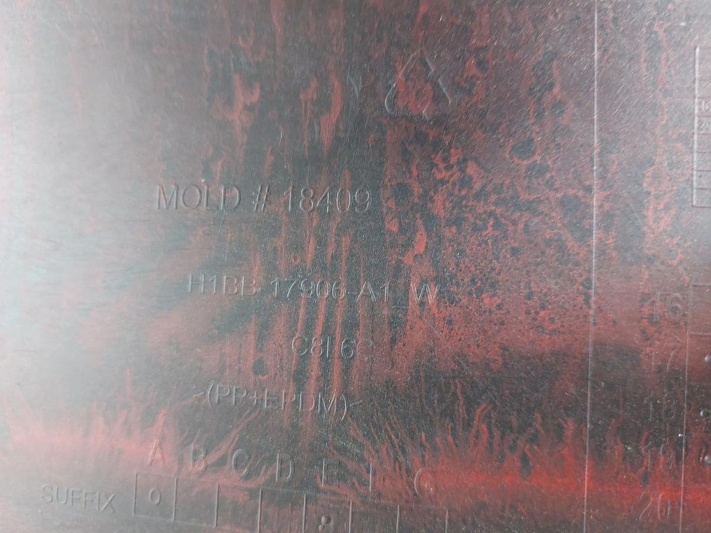 20250613_141042.jpg