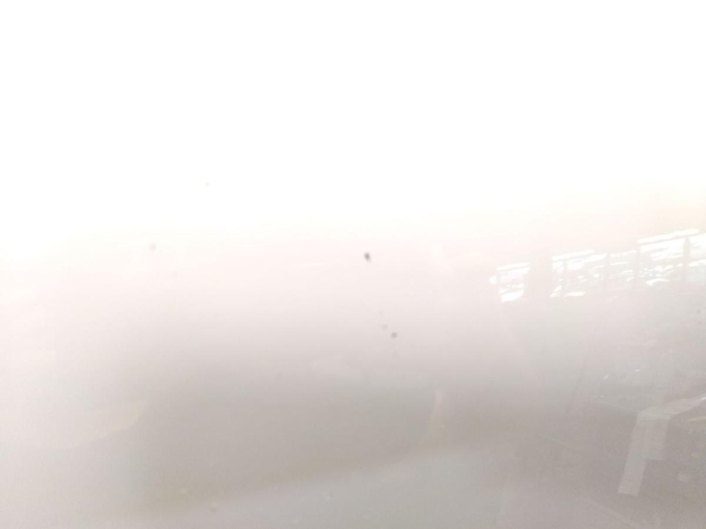 IMG_20250620_110539.jpg