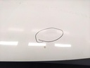 IMG_20250625_154551.jpg