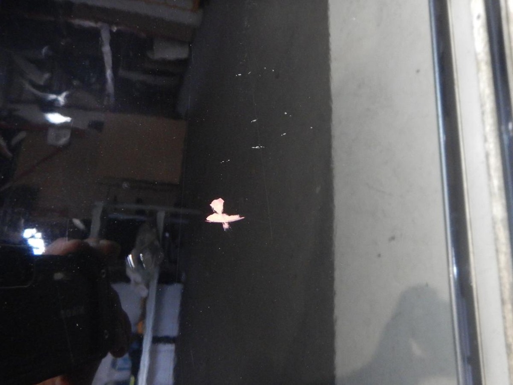 DSCN5196.JPG