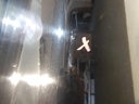 DSCN5130.JPG