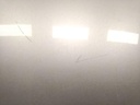 IMG_20250709_161436.jpg