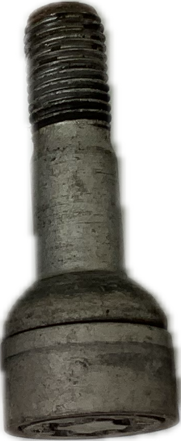 IMG_6019.png