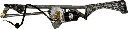 IMG_5998.png