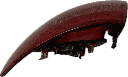 IMG_6722.png