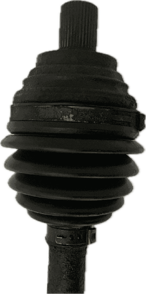 IMG_6762.png