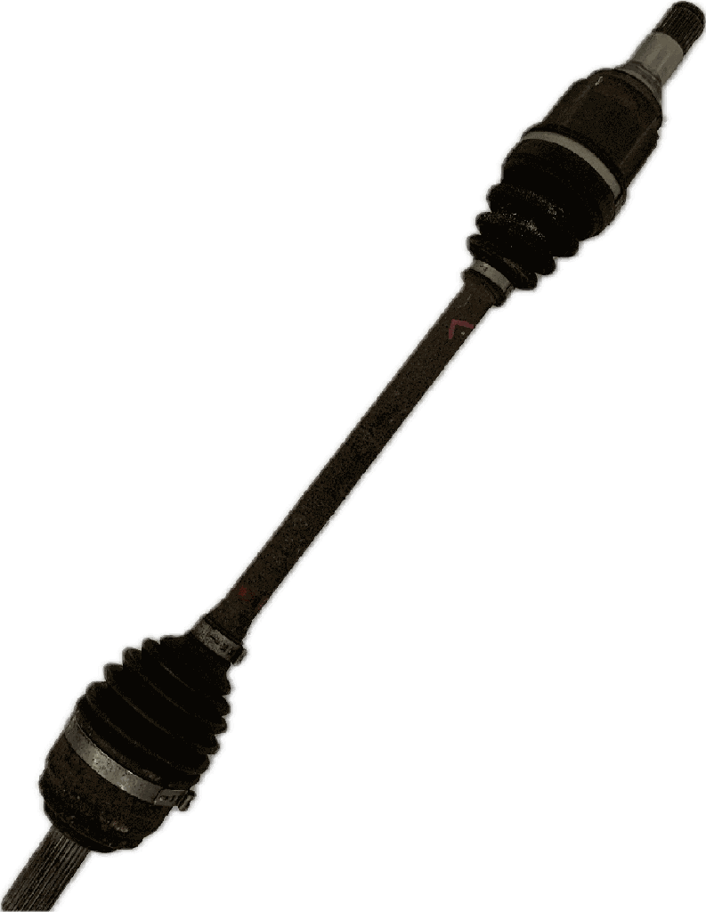 IMG_6838.png