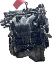 IMG_6900.png