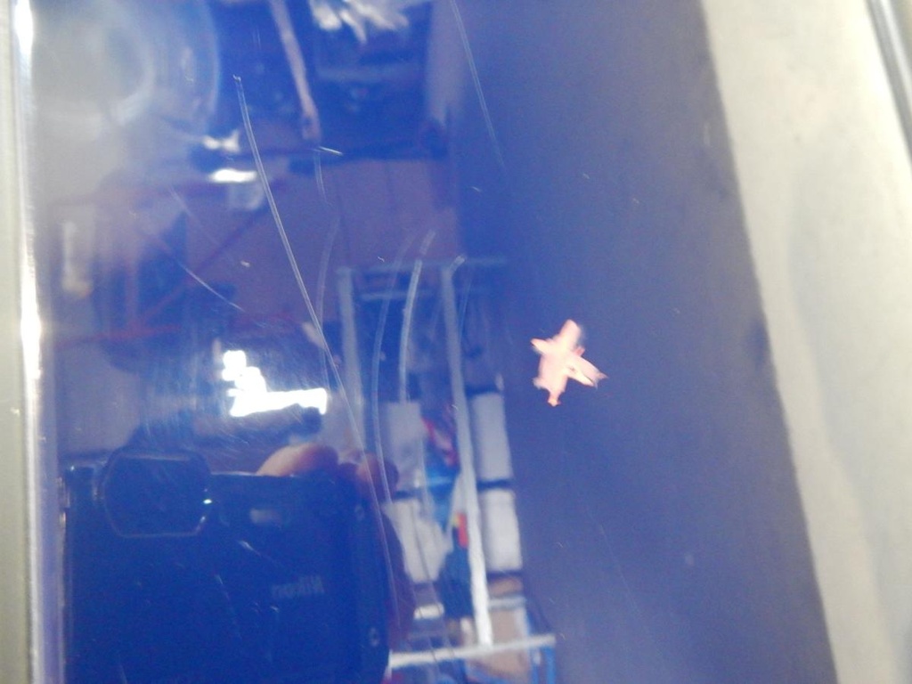 DSCN5817.JPG