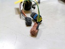 IMG_20250806_141418 (kleiner).jpg