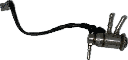 IMG_7579.png