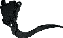 IMG_7555.png