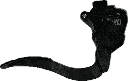 IMG_7553.png