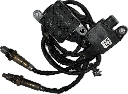 IMG_7591.png