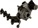 IMG_7631.png