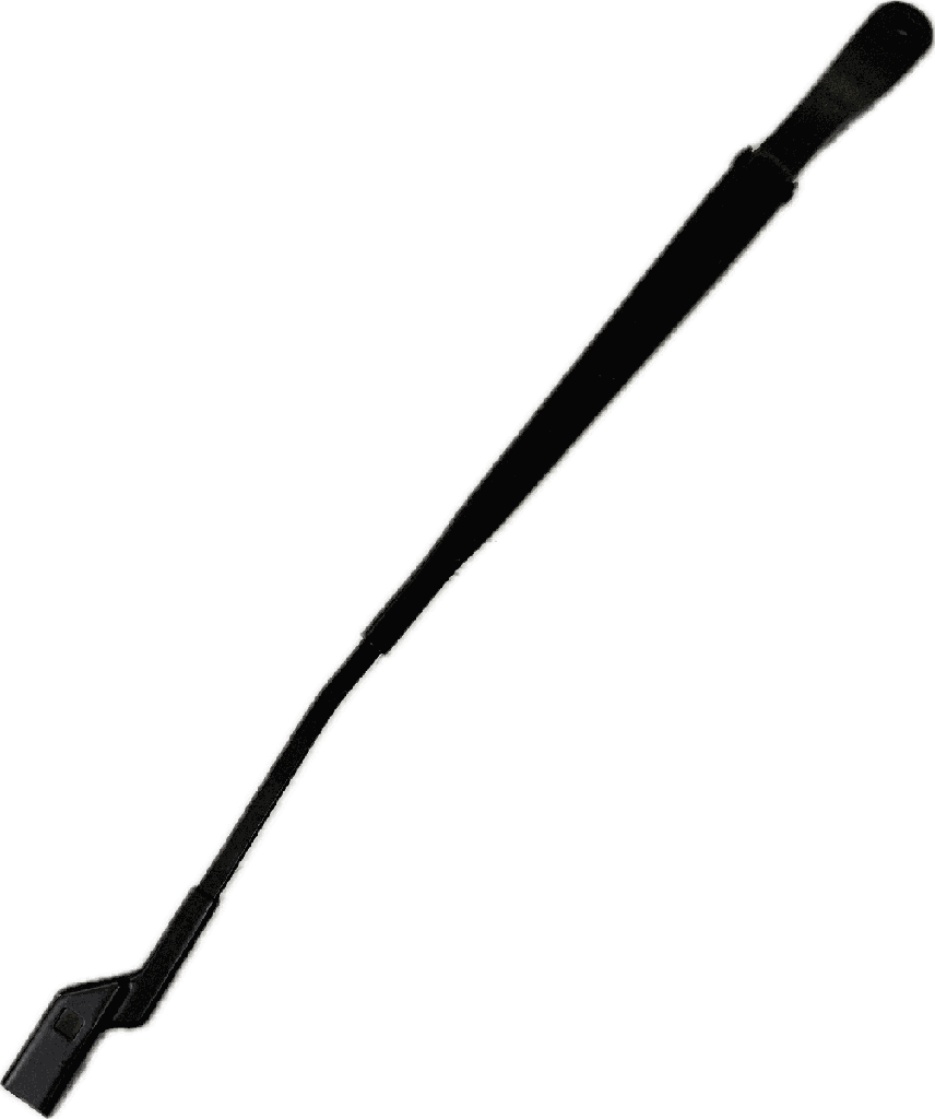 IMG_7656.png