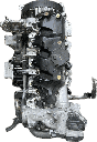 IMG_7765.png