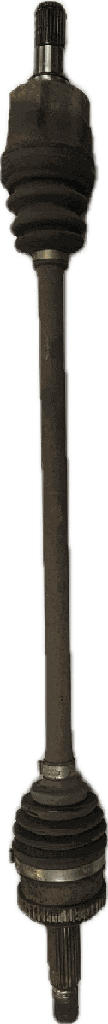 IMG_7863.png