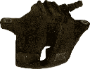 IMG_8252.png