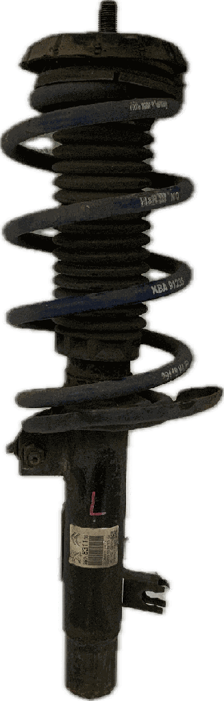 IMG_8237.png