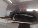 IMG_20250905_093335.jpg