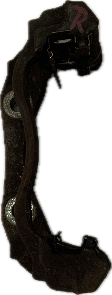 IMG_8256.png
