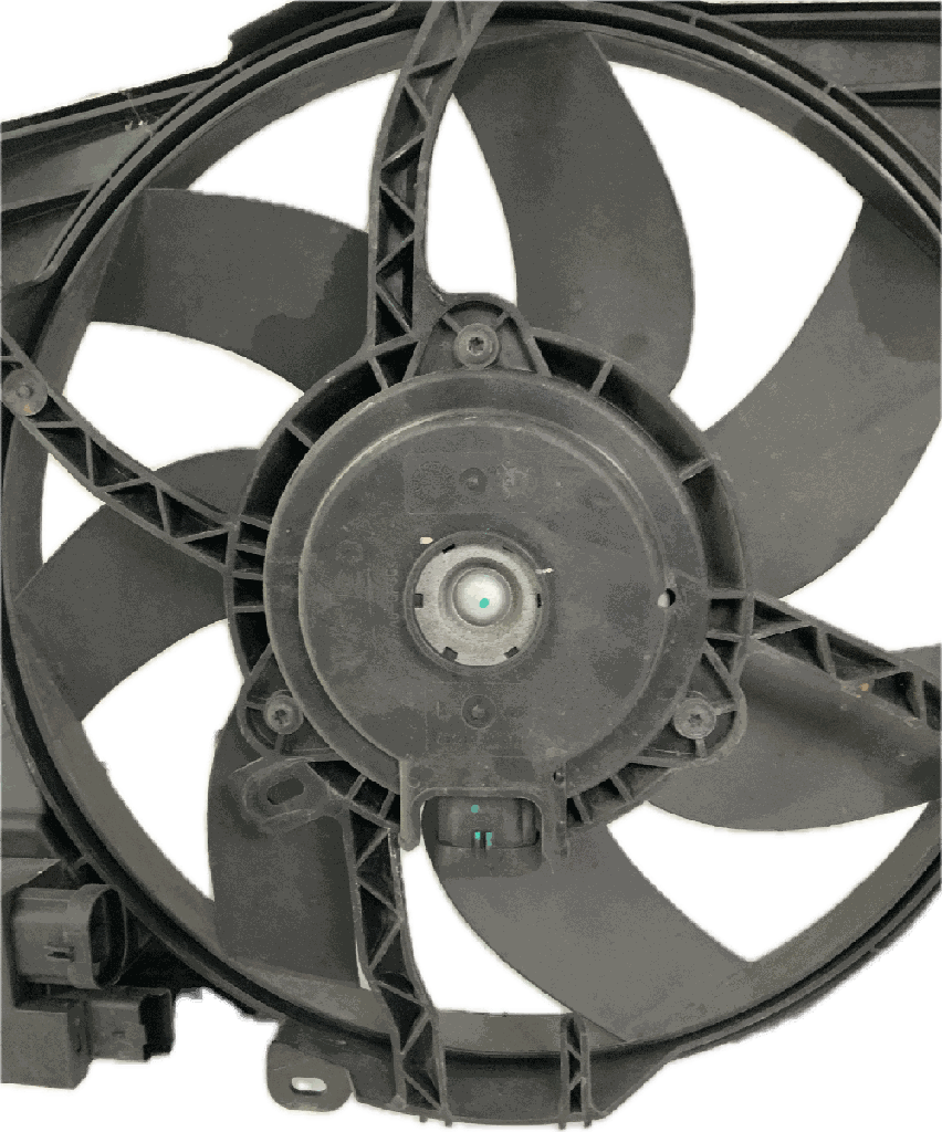 IMG_8246.png