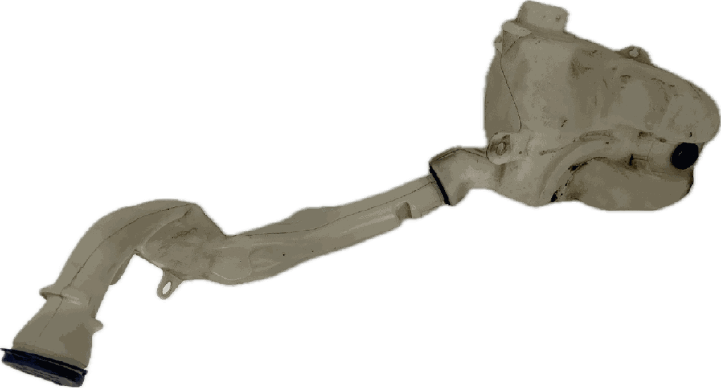 IMG_8195.png