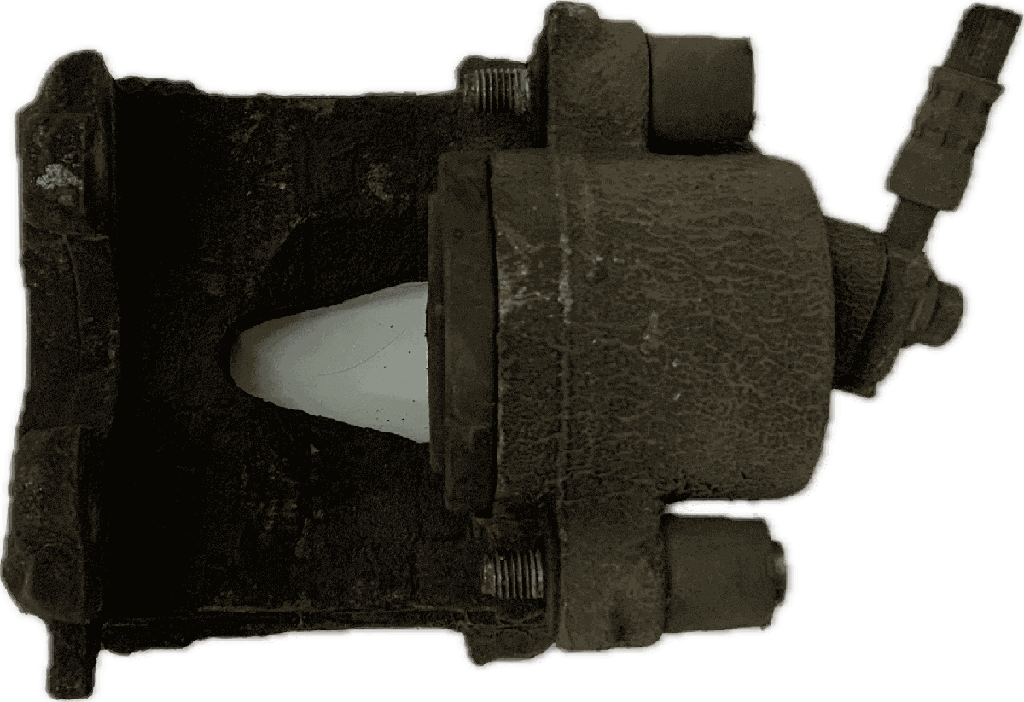 IMG_8544.png