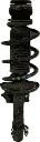 IMG_8555.png