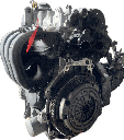 IMG_8586.png