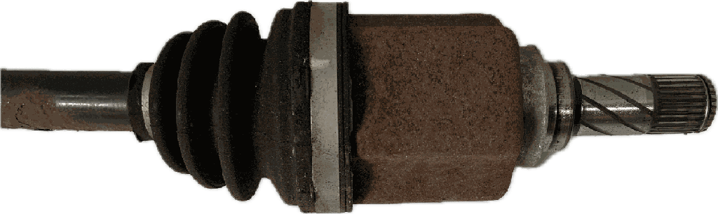 IMG_9064.png