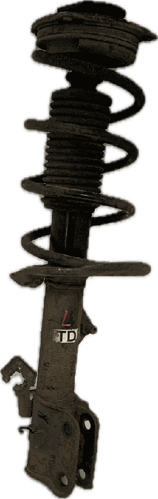 IMG_9035.png