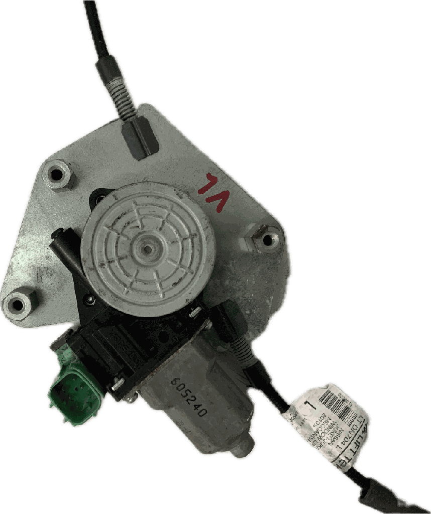 IMG_9019.png