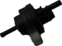 IMG_8888.png