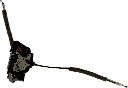 IMG_9003.png