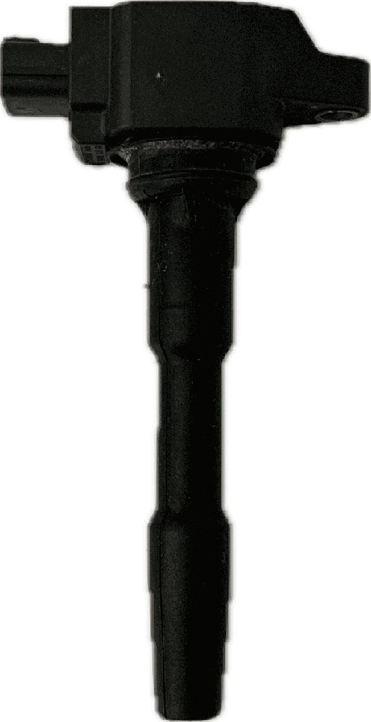 IMG_8895.png