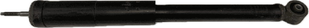 IMG_9506.png