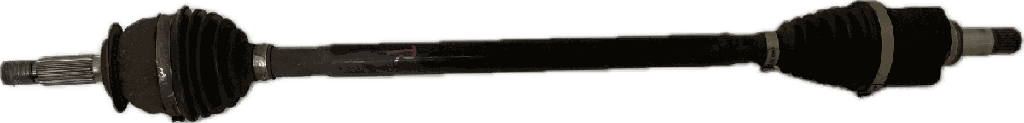 IMG_9595.png