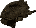 IMG_1223.png