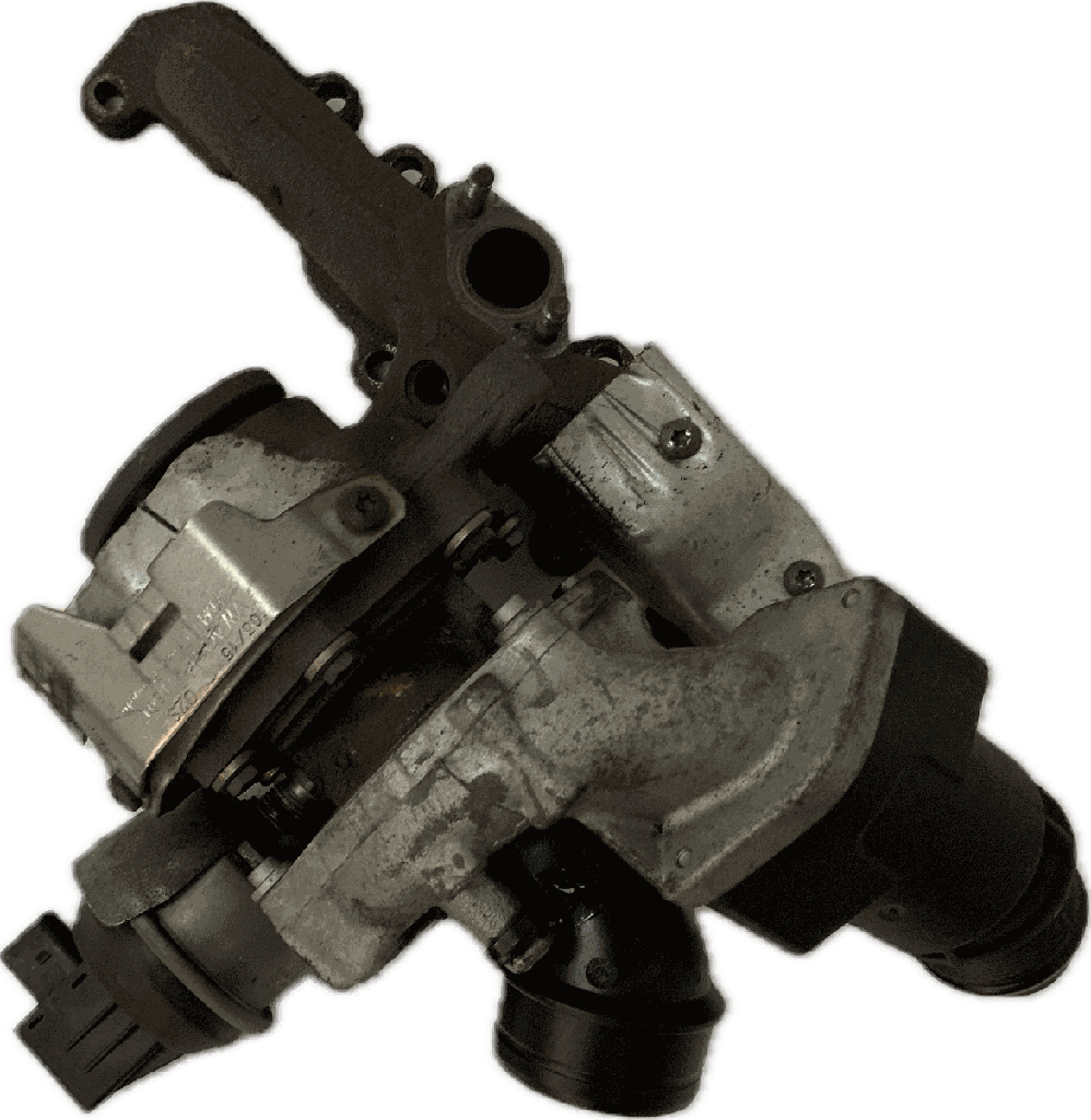 IMG_1195.png